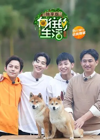 《向往的生活2独享版》全集高清完整版在线观看与剧情解析