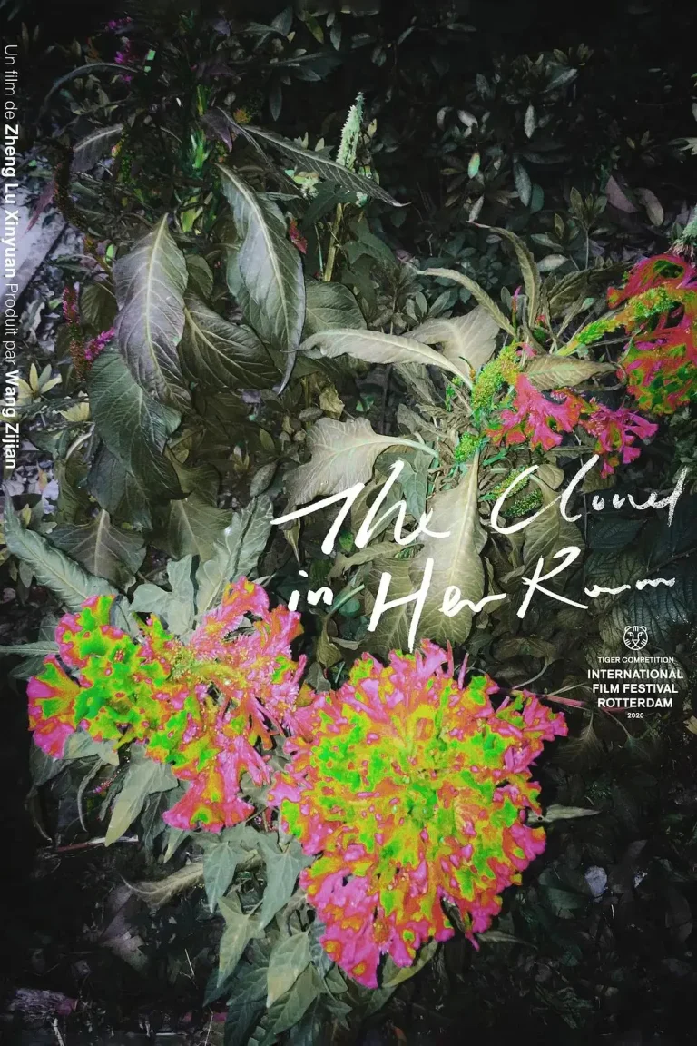 《她房间里的云》全集高清完整版在线观看与剧情解析