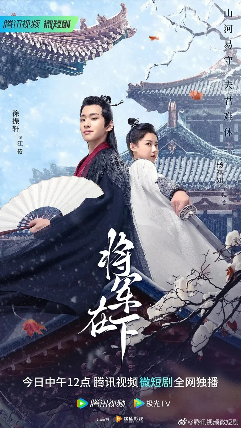 《将军在下》全集高清完整版在线观看与剧情解析