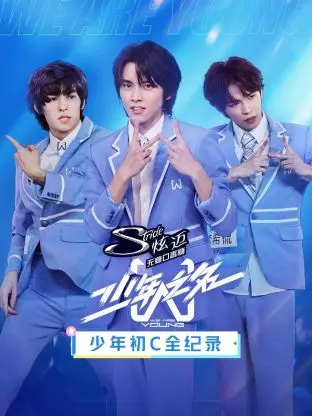 《少年初C全纪录》全集高清完整版在线观看与剧情解析