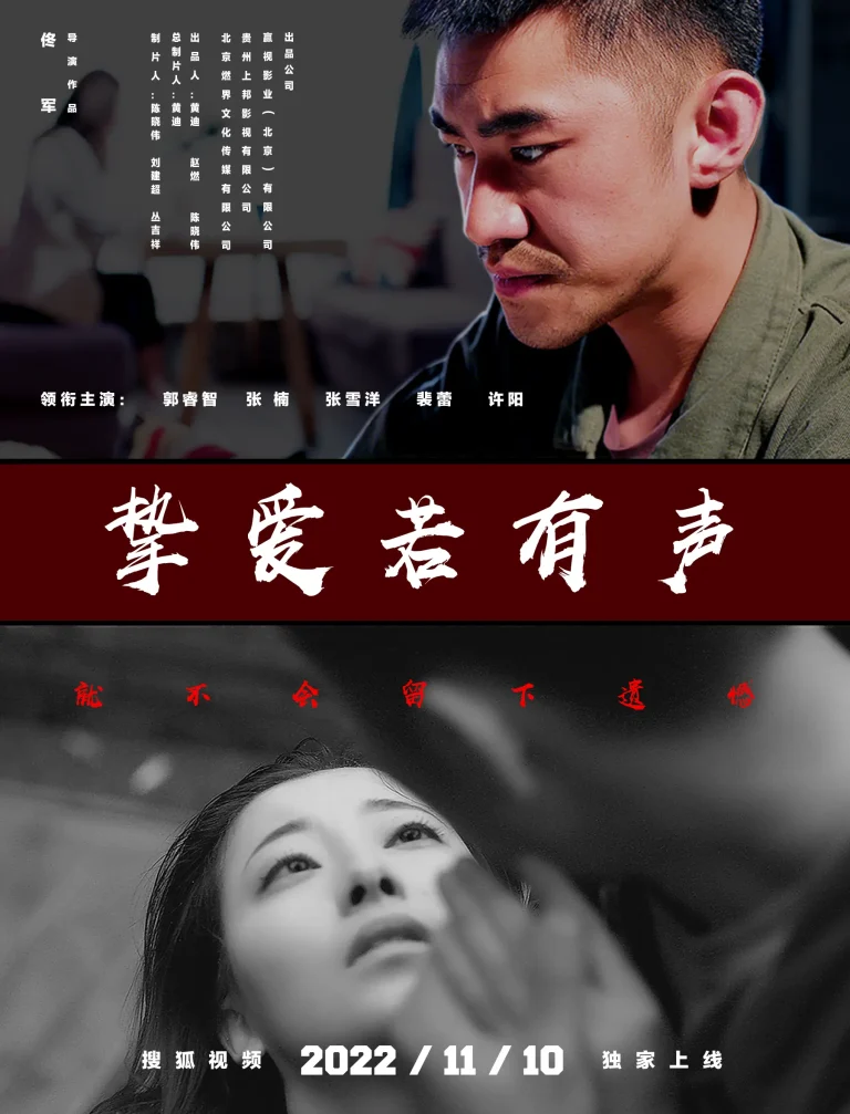 《挚爱若有声》全集高清完整版在线观看与剧情解析