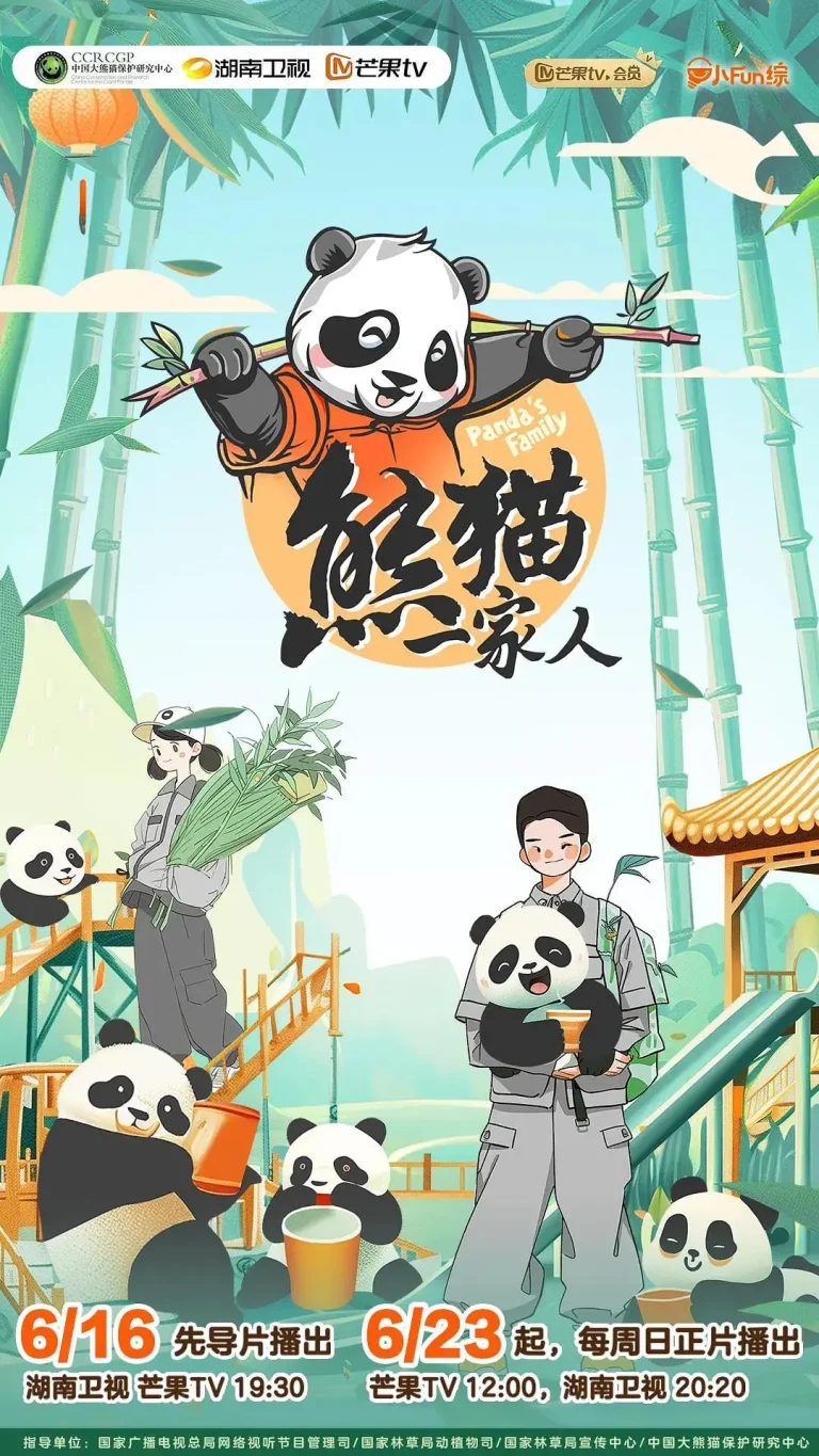 《熊猫一家人》全集高清完整版在线观看与剧情解析