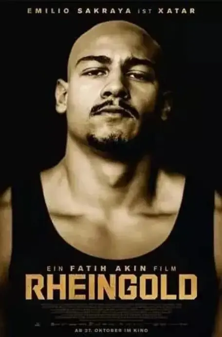 《莱茵金》全集高清完整版在线观看与剧情解析