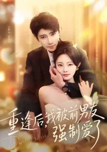 重逢后,我被前男友强制爱了