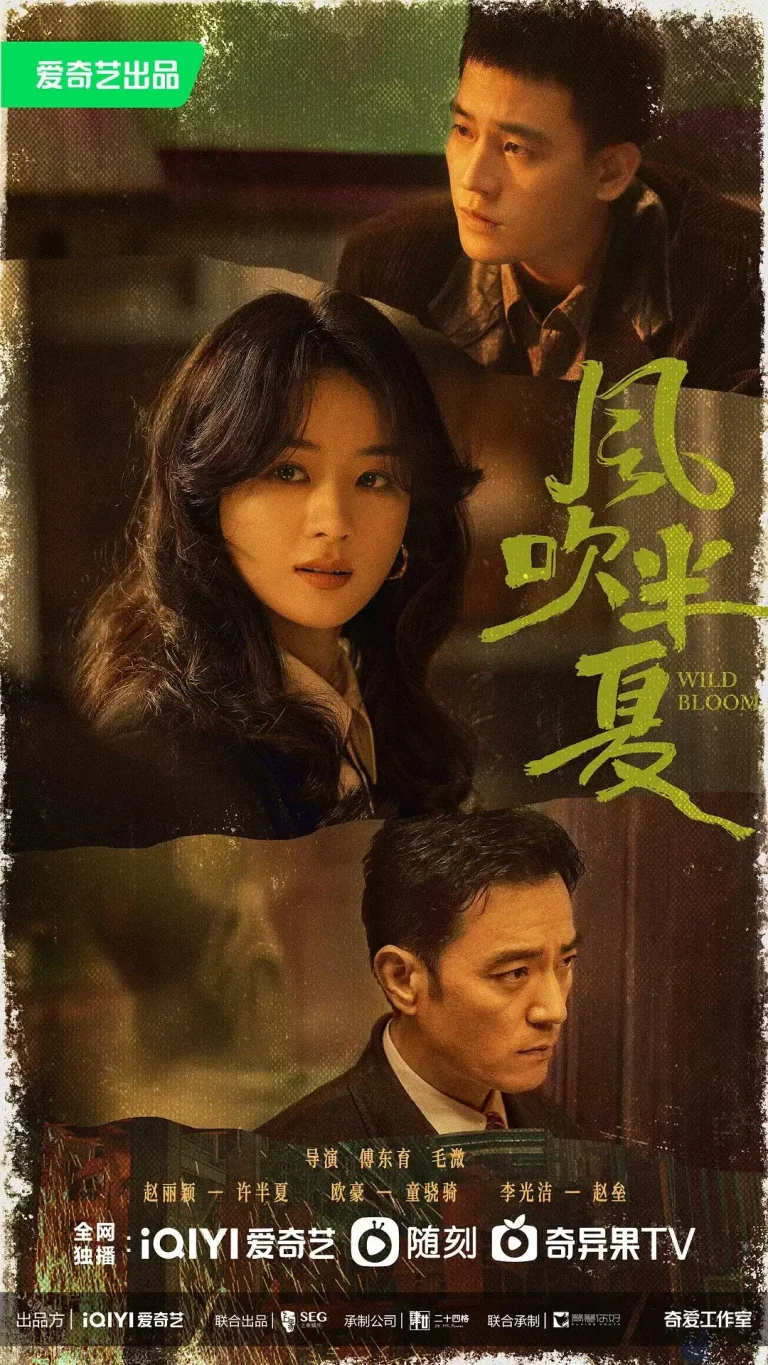 《风吹半夏》全集高清完整版在线观看与剧情解析